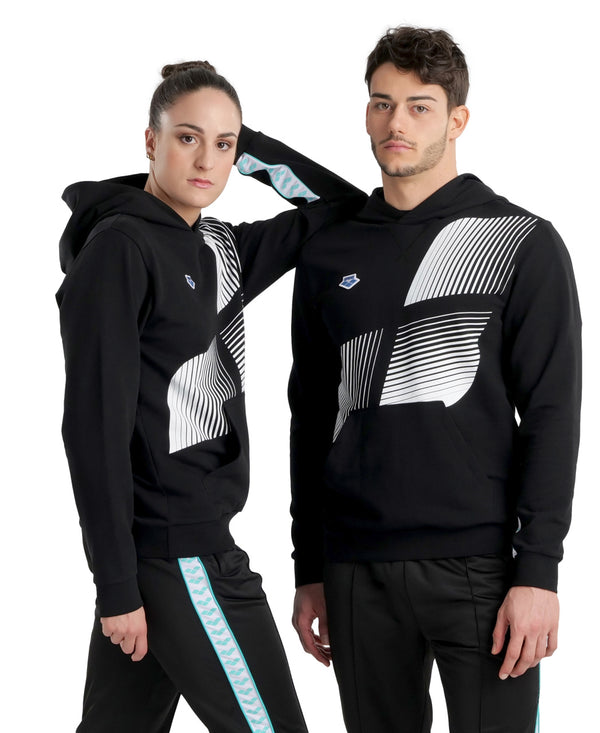 Arena Icons Hooded Sweat unisex hoodie