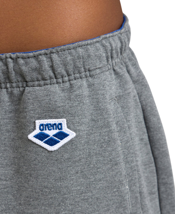 Arena Icons Korta damshorts, grå