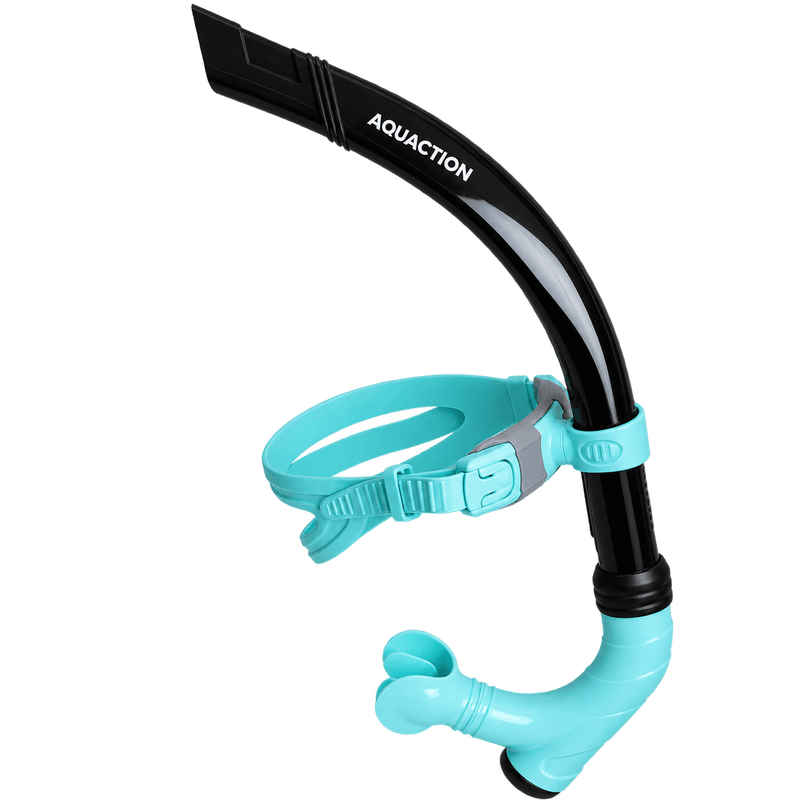 Aqua Center Snorkel Central Snorkel with Purge Valve, Black-Mint